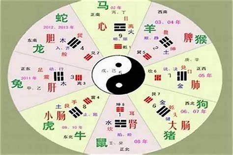 俊的五行|俊字的五行是什么,俊的五行属性及吉利寓意